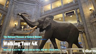 Inside Look National Museum of Natural History Tour [upl. by Jerman]