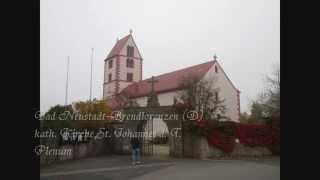 Bad Neustadt a d SBrendlorenzen D kath Kirche St Johannes d T Vollgeläute [upl. by Deehsar]