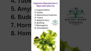 Vegetative Reproduction in Algae  neet algae ytshorts [upl. by Samtsirhc808]