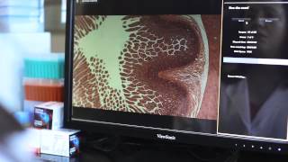 Automated fluorescence microscope demo video – EVOS FL Auto [upl. by Bajaj]