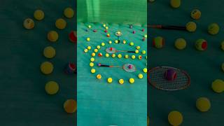 Practice Without Pause Rapid Ball Collector smalleyes smallball funny bigball [upl. by Ilrac]