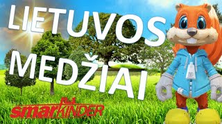 ✅ Lietuvos medžiai  SmartkinderTV  Filmukai vaikams lietuviškai [upl. by Helsa]