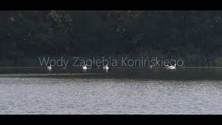 Wody Zagłębia Konińskiego [upl. by Shipp]