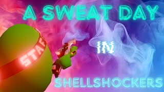 A Sweat Day  ShellShockers [upl. by Etnuhs]