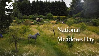 Celebrating meadows at Nunnington Hall [upl. by Crawley263]