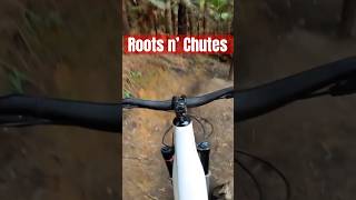 Roots n’ Chutes Tumeke 🙌 mtb rotoruamtb ebike ebikestyle mountainbike [upl. by Floyd472]