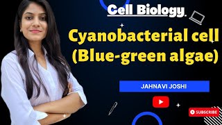 Cyanobacterial cell  Blue Green algae Notes Cell Biology [upl. by Hartley]