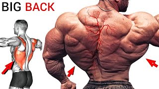 THE 2 BEST BACK WORKOUT [upl. by Ezechiel279]