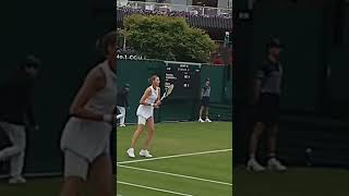 Karolína Plíšková Effortless Backhand Power tennis backhand pliskova [upl. by Ahteral]