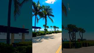 🏖️🇺🇸  Lake worth beach park Florida welcometothebeach shorts beach [upl. by Nolrac214]