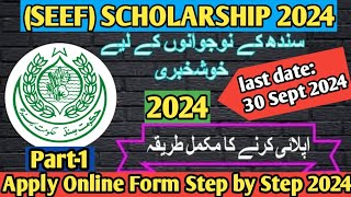 How to apply For Sindh Educational Endowment Scholarship  SEEF Scholarship 2024 [upl. by Yelnahs937]