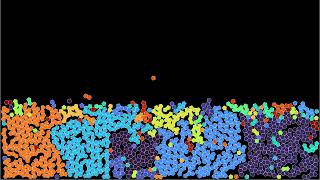 Growing quasicrystals by dynamic aggregation of pentagons [upl. by Gibbons945]