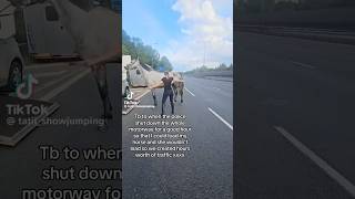 horse escapes horse box on the motorway equestrain youtube shorts viral [upl. by Anderea454]