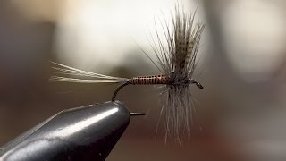 Joe Fox ties a Catskill style Red Quill [upl. by Binnie]