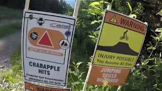 Crabapple Hits🔺 How to Tutorial Whistler Bike Park 2018 [upl. by Aitital]