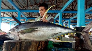 Wow this is really fresh tuna‼️ Amazing Big Tuna Cutting Skills by Bro Wandi for fish Suppliers [upl. by Tacye]