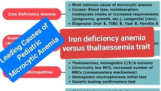 Leading Causes of Pediatric Microcytic Anemia [upl. by Deaner]