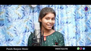 Hathema Hathadeniye chori  st songs  st dj songs  banjara songs  Banjara dj songs  banjara [upl. by Byrom525]