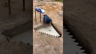 easy pigeon bird trap using paper amp plastic bottle youtubeshorts [upl. by Teodorico]