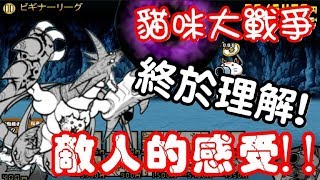 《哲平》網頁版 貓咪大戰爭  PK大戰活動開始  終於知道敵人的感受了QAQ [upl. by Alrzc]