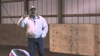 Horse Massage Working with Horses in Pain Using the Bladder Meridian [upl. by Anirazc]