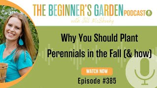 Why You Should Plant Perennials in the Fall amp how [upl. by Jamal14]