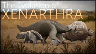 Evolution of sloths and armadillos [upl. by Gschu477]