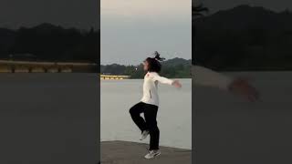 Lets Go Wing Chun vs Tai Chi Chinese Culture [upl. by Dollie704]