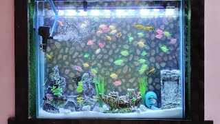 🐠FISH TANK SETTEP🐠 [upl. by Aisat]