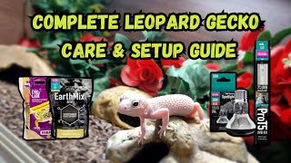 Complete Leopard Gecko Care amp Setup Guide  Beginners Guide [upl. by Analed]