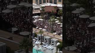 The Venetian Las Vegas Viewpoint TAO Beach Dayclub  Best Vegas Pool Party shorts party travel [upl. by Jun131]