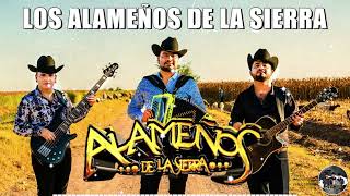 Los Alameños De La Sierra Mix Lo Más Chingones 📀 Puras Cumbias Para Bailar 🎸100 Cumbias Sierreñas [upl. by Attelliw]