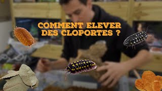 COMMENT ELEVER DES CLOPORTES  🤔 [upl. by Etirugram]