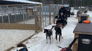 08032024 on our rally with ‘Car Challenge’ we visited TrasteampTrine for the dog sleigh experience [upl. by Kcuhc]