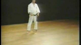 Hangetsu  Shotokan Karate [upl. by Dinsdale]