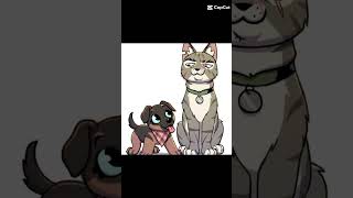 O gato é cabuloso [upl. by Goldenberg880]