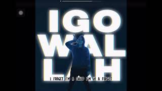 IGOWALLAH Lyrics [upl. by Schroeder]