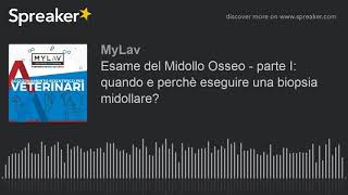 Esame del Midollo Osseo  parte I quando e perchè eseguire una biopsia midollare [upl. by Ettevy672]