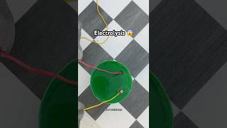 Electrolysis Reaction 😳 scinceexperiment educationalvideo experimentvideos [upl. by Boyer]