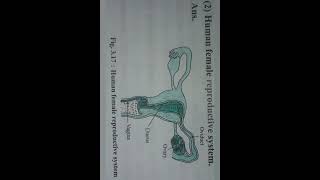 Jeevandeep Science 2  Chapter 3 Answers  Maharashtra Board [upl. by Esorbma]