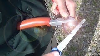 How to Sharpen Pruning Shears Video  SCARY SHARP PRUNING SHEARS [upl. by Einitsed]