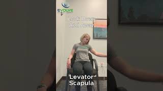 Levator Scapula Stretch [upl. by Anaugahs]