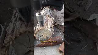 This Wood Splitter Drill gets your wood split in minutes 🔥🛠️ tools besttools drillbit [upl. by Methuselah58]