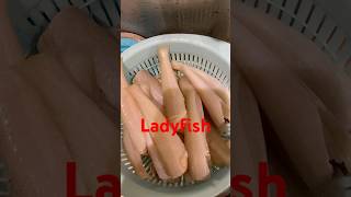 Crispy fried ladyfishfish ladyfish shortvideo crispyfriedfish [upl. by Nora810]