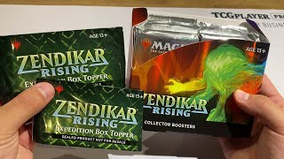 Zendikar Rising Collector Box Opening 1  Early Look HYPE IS RISING FOIL EXPEDITIONS ZNR [upl. by Nnylasor622]