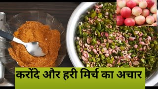 करोंदे और हरी मिर्च का चटपटा अचार  Karonda Aur Hari Mirch Ka Achar [upl. by Retsim154]