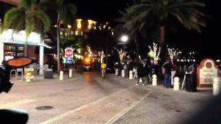 Budweiser Clydesdale Team in West Palm Beach Florida on Clematis Street [upl. by Owiat]