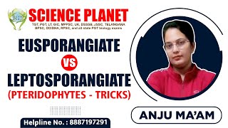 Eusporangiate Vs Leptosporangiate Pteridophytes  Tricks by Anju Mam of Science Planet [upl. by Kevina76]