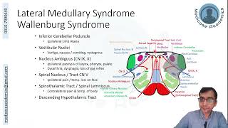 Medulla Lesions [upl. by Micheal316]