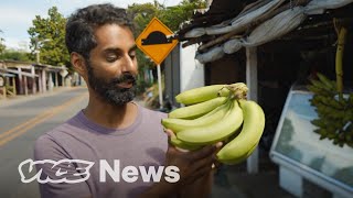 Bananapocalypse Why Bananas May Go Extinct [upl. by Anyt]